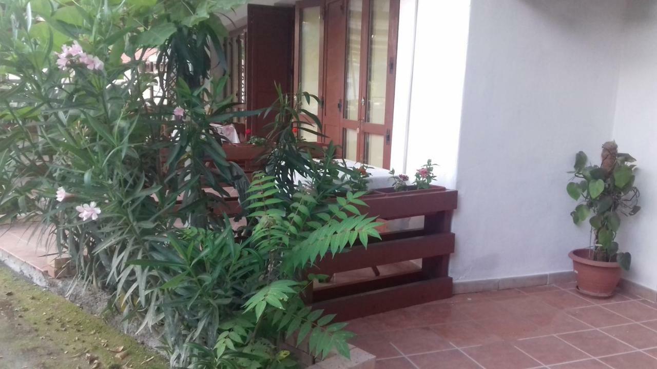 Bed and Breakfast A Casa di Nené Palinuro Exterior foto